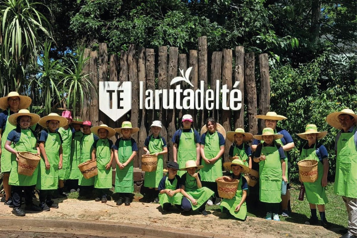 Ruta del Té